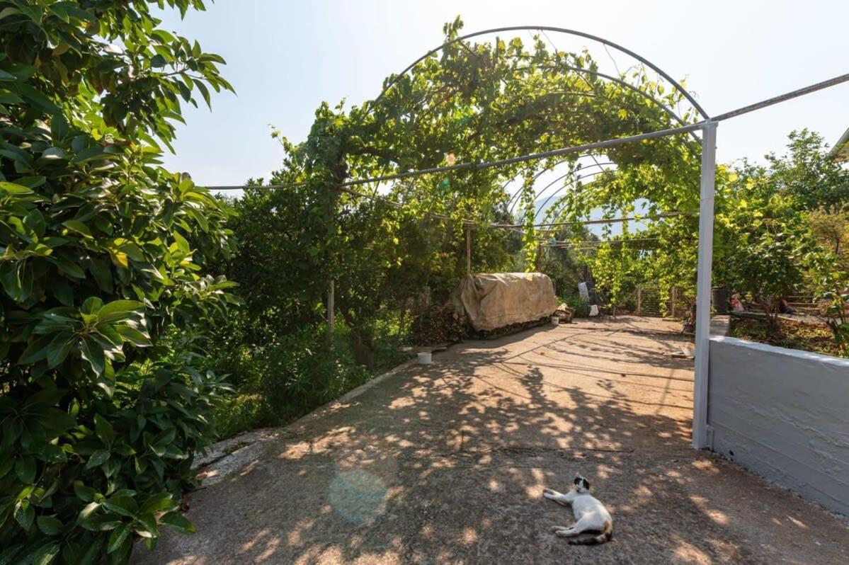 Serene Seaside Bliss - Lush & Secluded Garden Oasis Kalamata Exterior photo